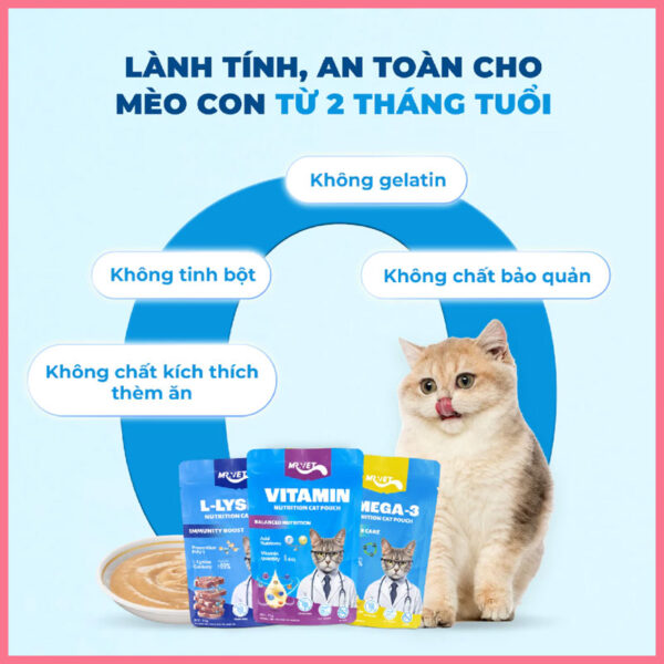 Pate mèo Mr Vet 70g 7