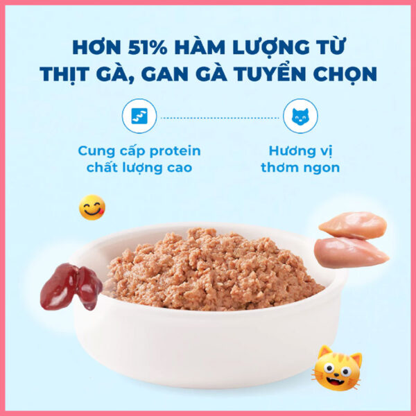 Pate mèo Mr Vet 70g 1