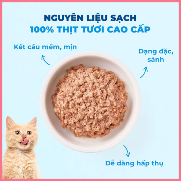 Pate mèo Mr Vet 70g 2