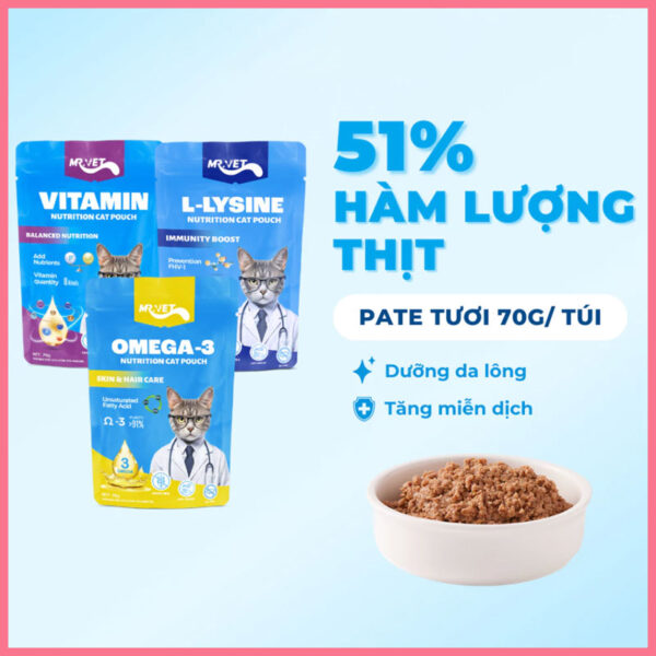 Pate mèo Mr Vet 70g