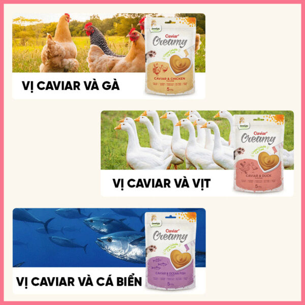 Súp thưởng Caviar cho mèo 6