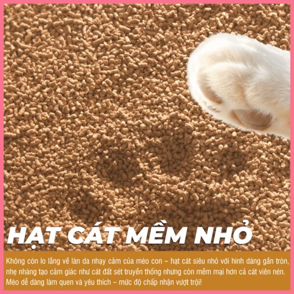 Cát Purcats Miracle Cature 4