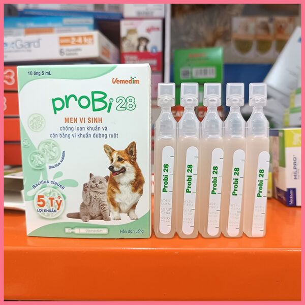 Men vi sinh Probi 28 2
