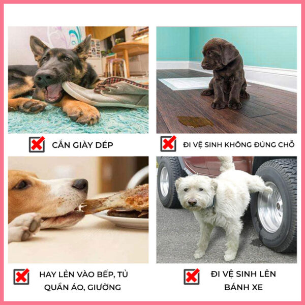 Xịt chống đi bậy cho chó mèo 2