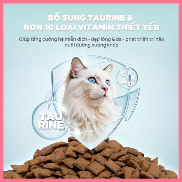 Thức-Ăn-Hạt-Cho-Mèo-Churro-PetQ-1kg-nupet-12