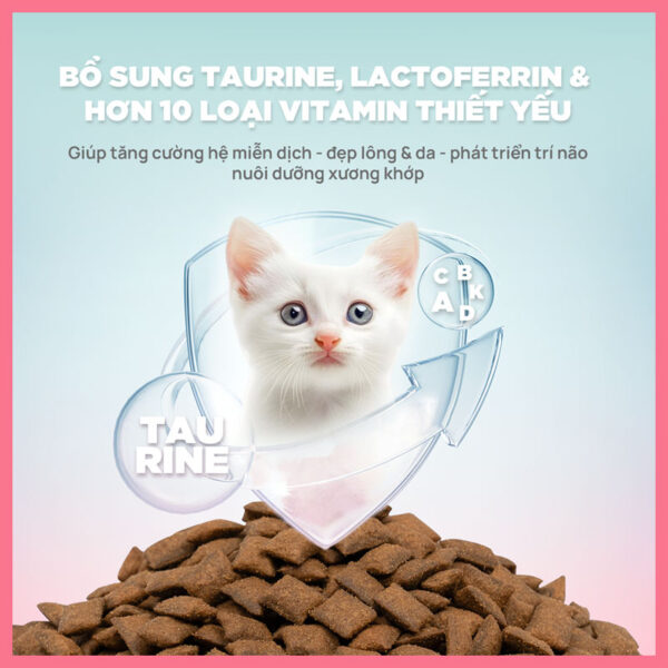 Thức-Ăn-Hạt-Cho-Mèo-Churro-PetQ-1kg-nupet-5