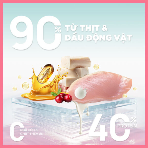 Thức-Ăn-Hạt-Cho-Mèo-Churro-PetQ-1kg-nupet-8