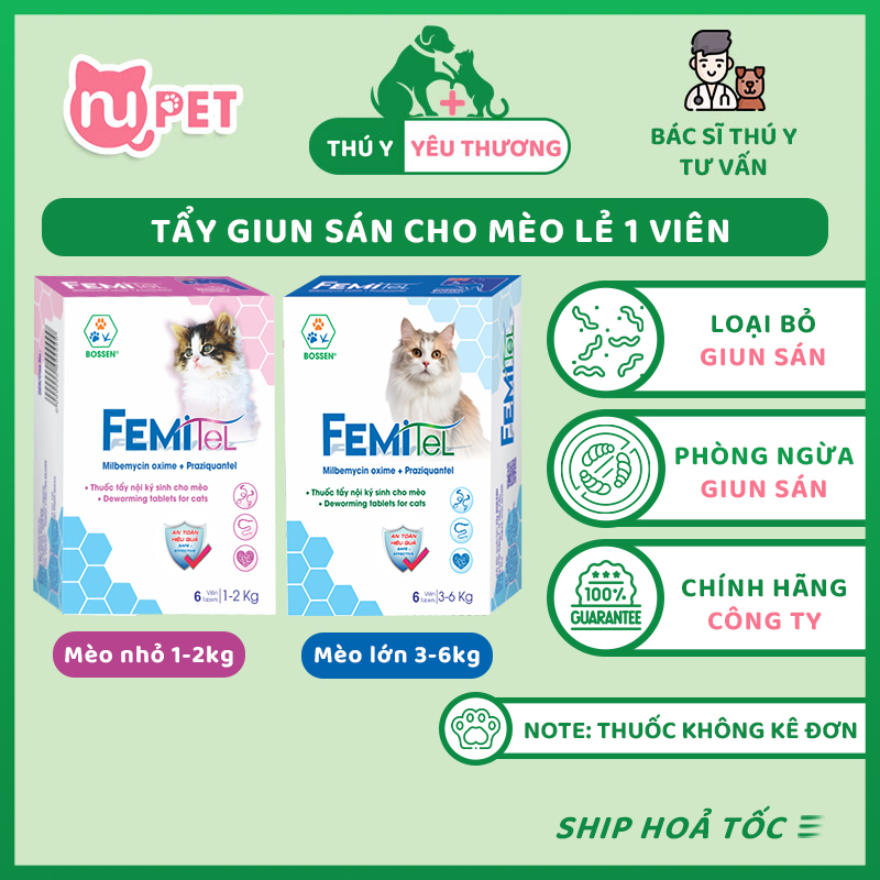 femitel-bossen-nupet-1