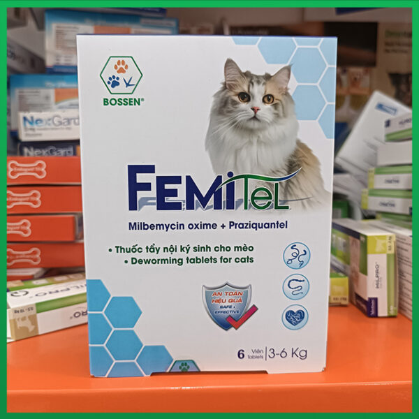 femitel-bossen-nupet-3