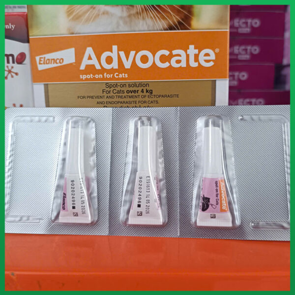 nho-gay-advocate-elanco-nupet-7