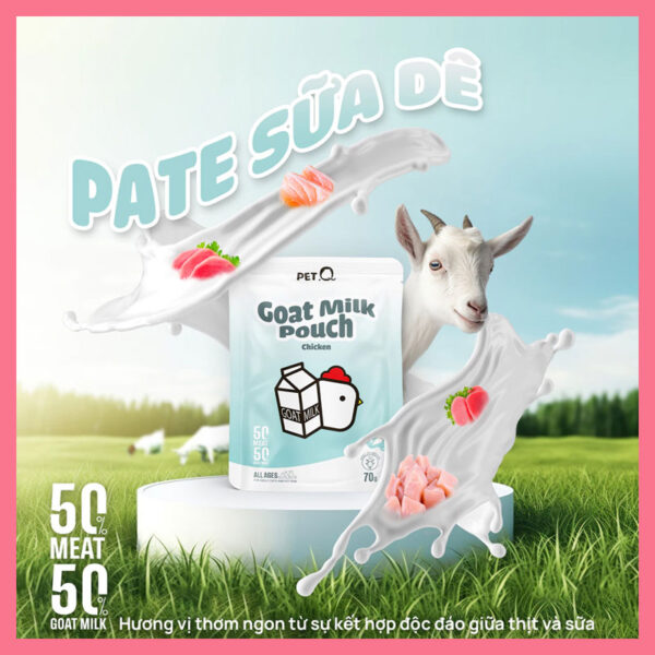 pate-petq-5