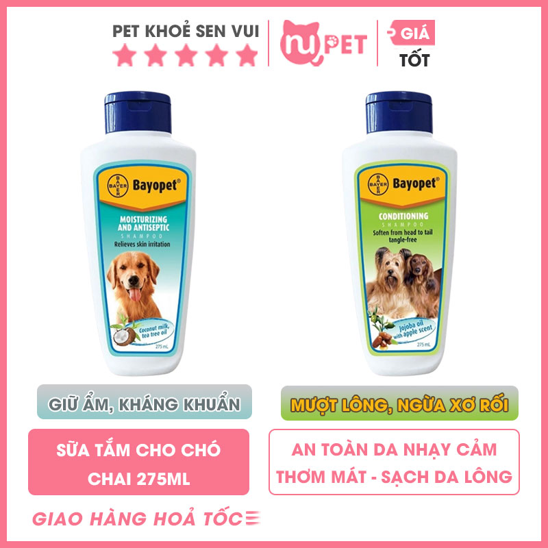 sua-tam-cho-cho-bayopet-nupet-1