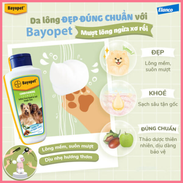 sua-tam-cho-cho-bayopet-nupet-8