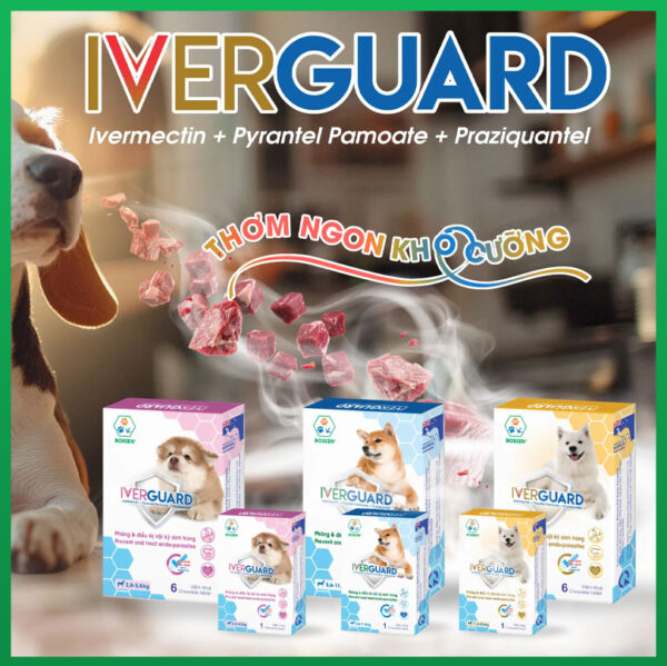 viên-tẩy-giun-cho-chó-IverGuard-Bossen-nupet-3