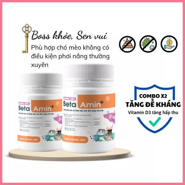 Beta amin ecopets 2