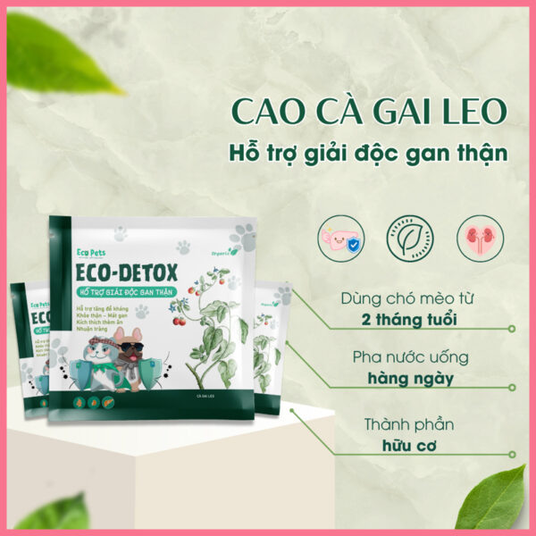 Bột uống giải độc gan thận Eco-detox Ecopets 4