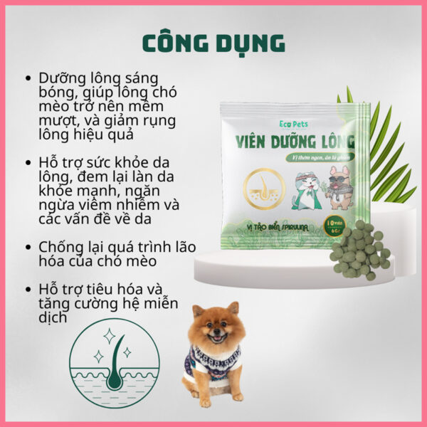 viên dưỡng lông ecopets 2
