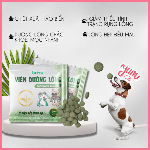viên dưỡng lông ecopets 4