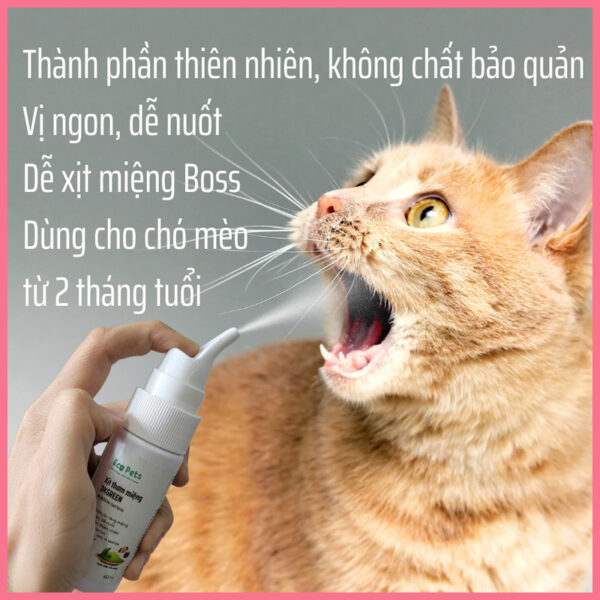 Xịt thơm miệng dkgreen ecopets 4