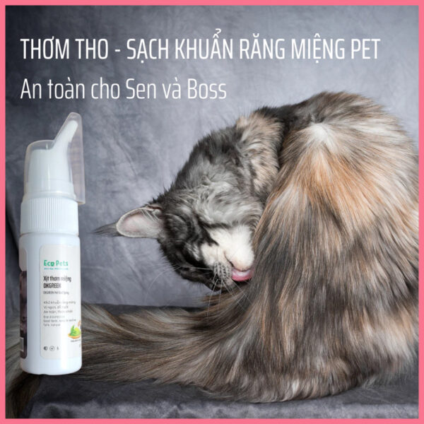 Xịt thơm miệng dkgreen ecopets
