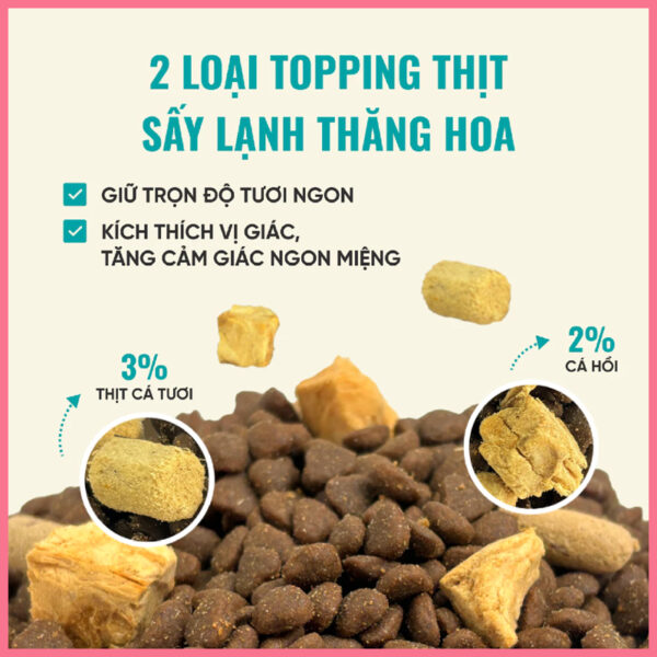 Hạt cho mèo bite of wild 4