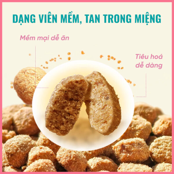 Hạt cho mèo bite of wild 6