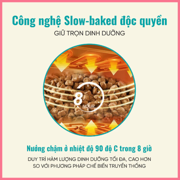 Hạt cho mèo bite of wild 8
