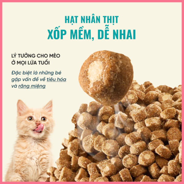 Hạt cho mèo bite of wild 9