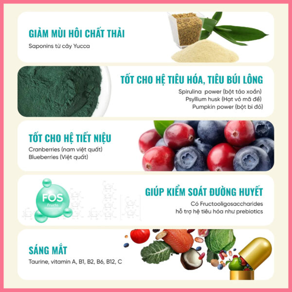 Hạt cho mèo bite of wild p42 2