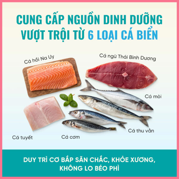 Hạt cho mèo bite of wild p34