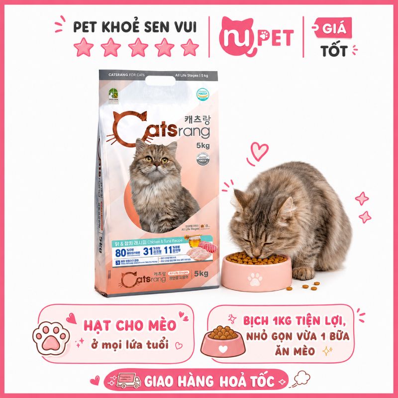 hat-cho-meo-catsrang-nupet-1