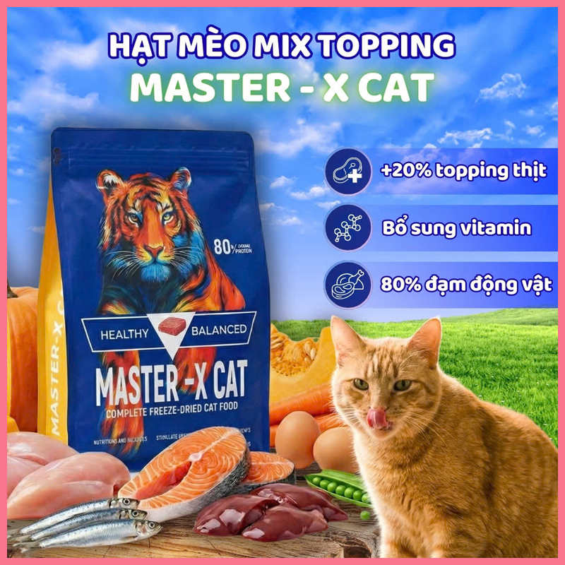 hat-thuc-an-master-xcat-cho-meo-bich-1kg-5 Hạt thức ăn MASTER-X CAT cho mèo bịch 1kg 5