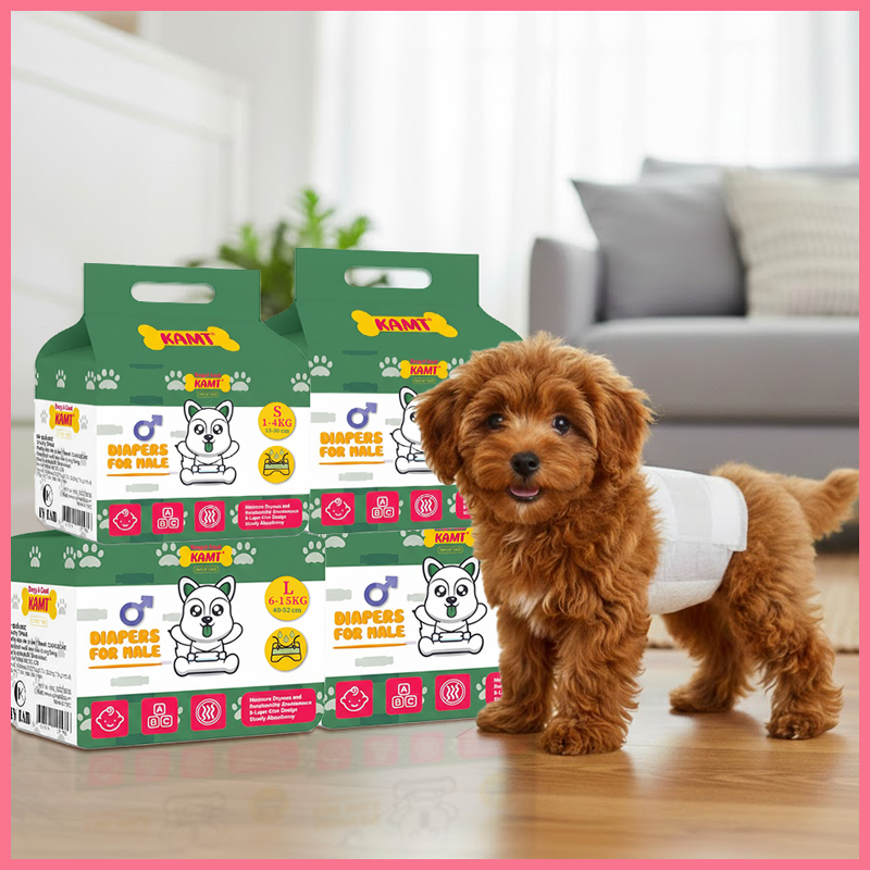 bim-quan-cho-duc-kamt-6 bỉm quần chó đực KAMT 6