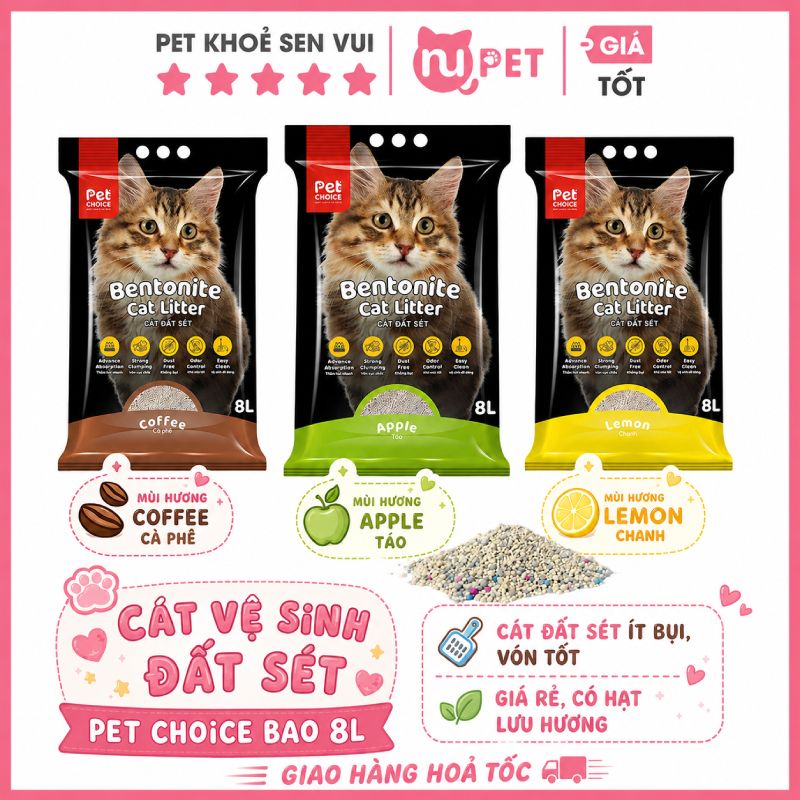 cat-dat-set-cho-meo-petchoice-1