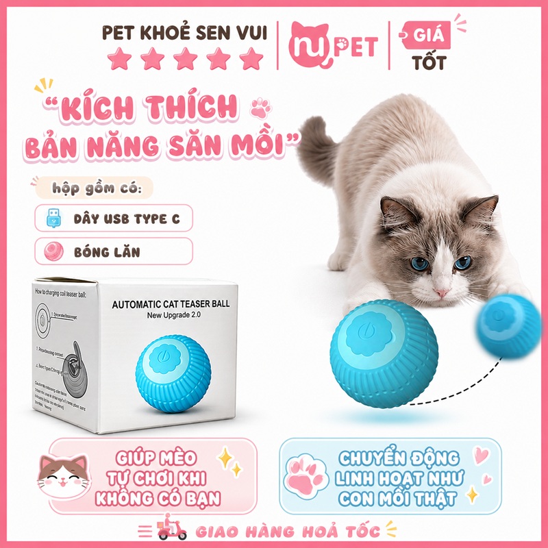 bong-tu-choi-cho-meo-nupet
