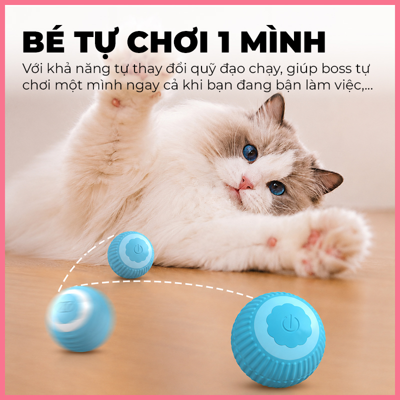 do-choi-bong-thong-minh-giay-giua-cho-meo-4 Đồ chơi bóng thông minh giãy giụa cho mèo 4
