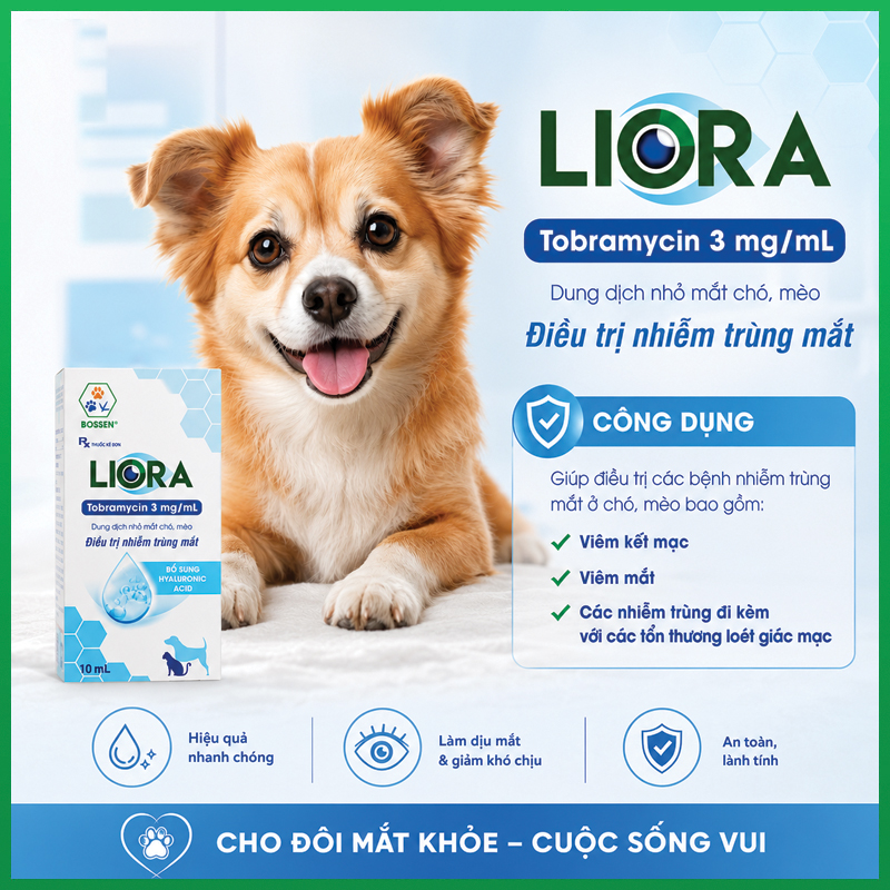 dung-dich-nho-mat-cho-meo-liora-bossen-8 Dung dịch nhỏ mắt chó mèo Liora Bossen 8