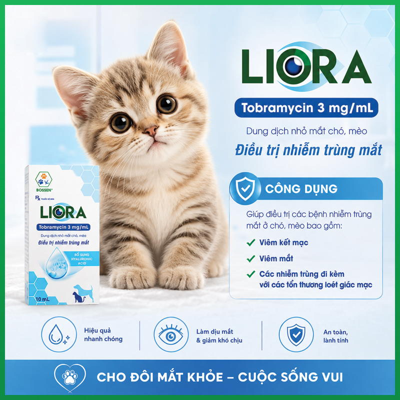 dung-dich-nho-mat-cho-meo-liora-bossen-9 Dung dịch nhỏ mắt chó mèo Liora Bossen 9