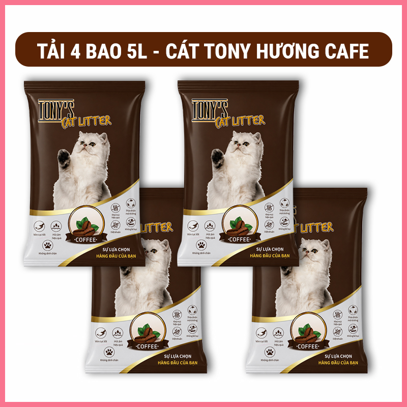 cat-dat-set-meo-tony-cat-10 Cát đất sét mèo Tony cat 10