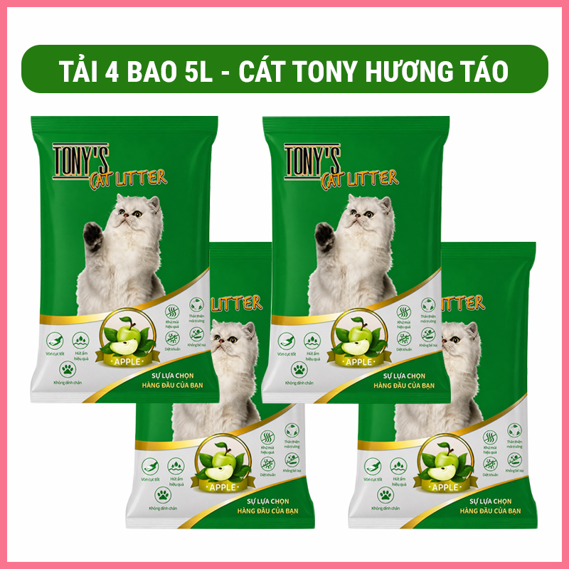 cat-dat-set-meo-tony-cat-11 Cát đất sét mèo Tony cat 11