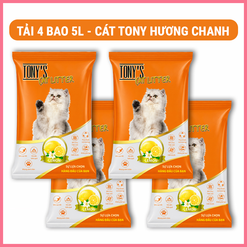 cat-dat-set-meo-tony-cat-9 Cát đất sét mèo Tony cat 9