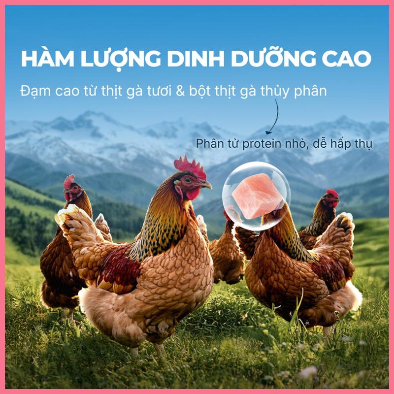 pate-sua-lac-cho-meo-faenbei-milkshake-85g-3 Pate sữa lắc cho mèo Faenbei milkshake 85g 3