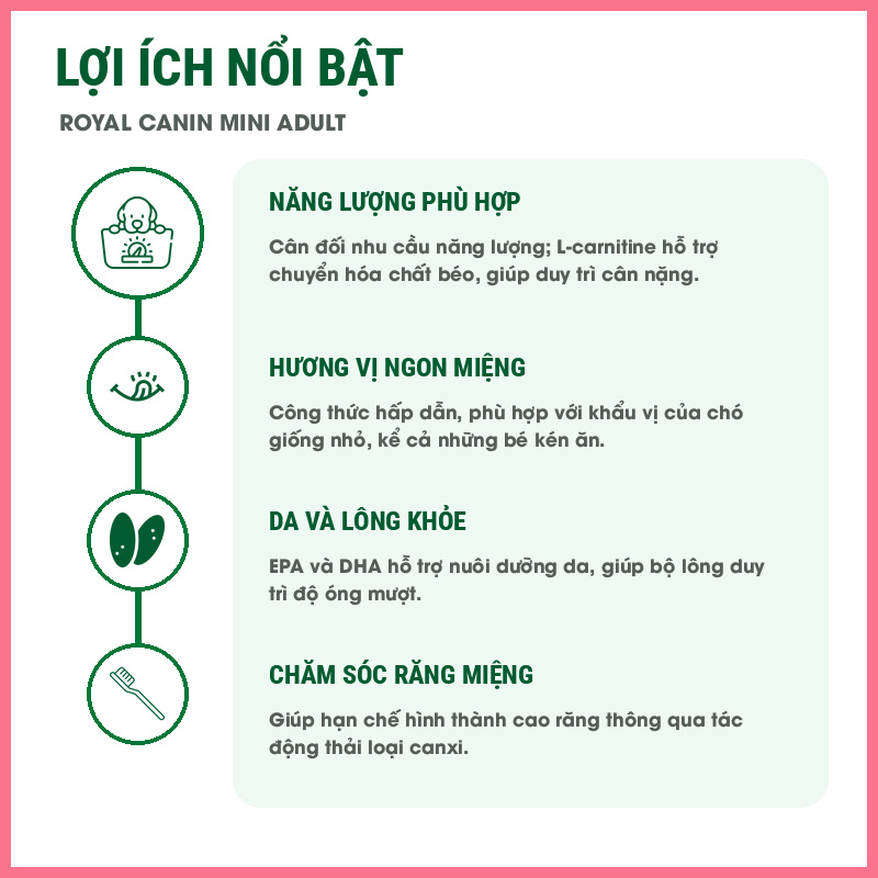 Hạt chó Royal Canin Mini Adult Nupet 6
