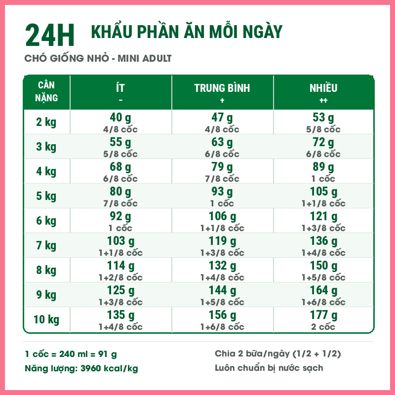 Hat-cho-Royal-Canin-Mini-Adult-Nupet-8 Hạt chó Royal canin mini adult Nupet 8