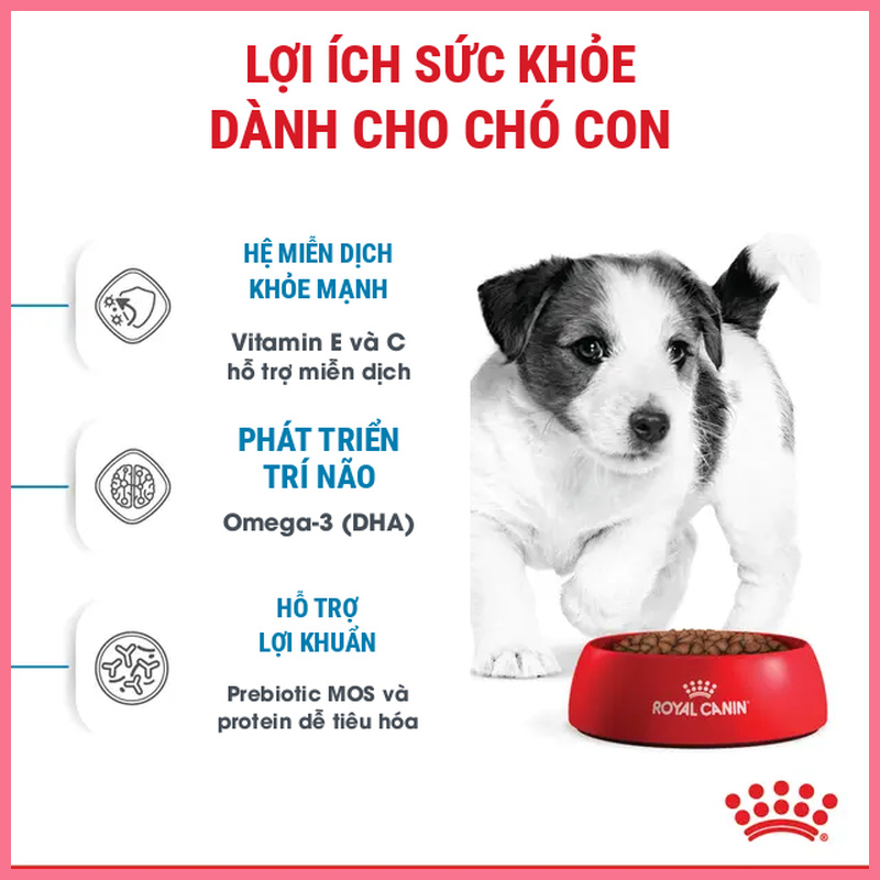 Hat-cho-Royal-Canin-Mini-Puppy-Nupet-2 Hạt chó Royal Canin Mini Puppy Nupet 2