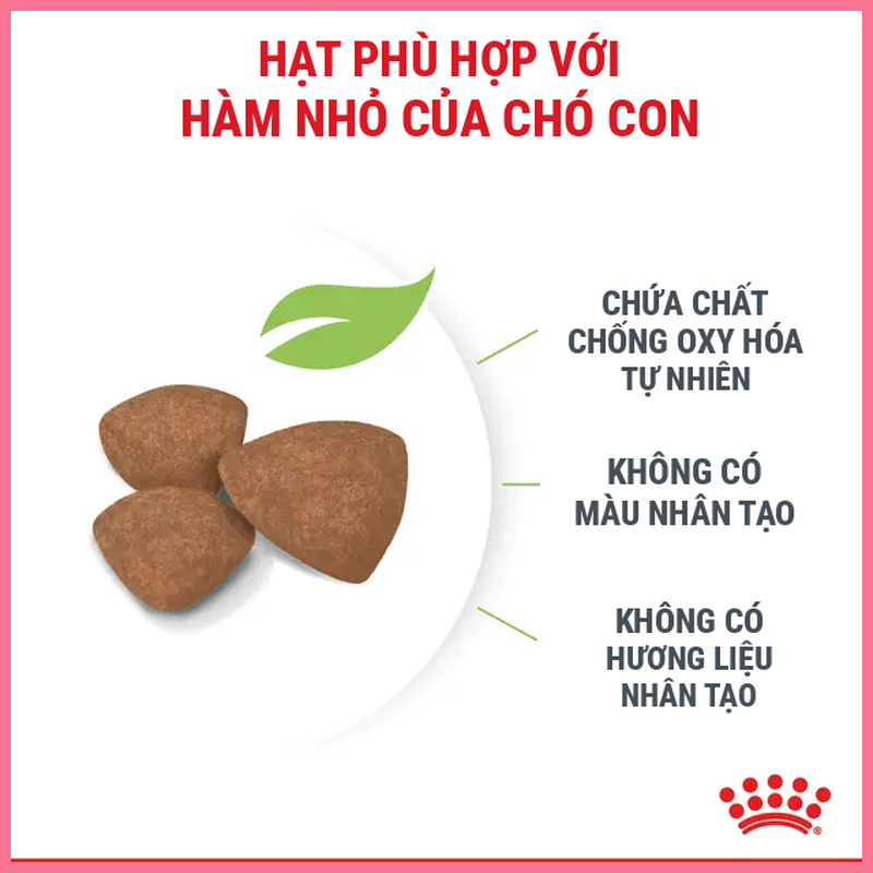 Hạt chó Royal Canin Mini Puppy Nupet 3