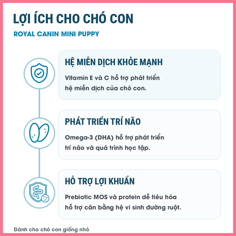 Hạt chó Royal Canin Mini Puppy Nupet 6