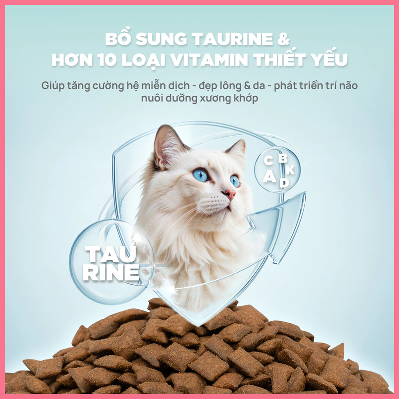 Hạt mèo PetQ Churro C90 bịch 1kg Nupet 6 Hạt mèo PetQ Churro C90 bịch 1kg Nupet 6