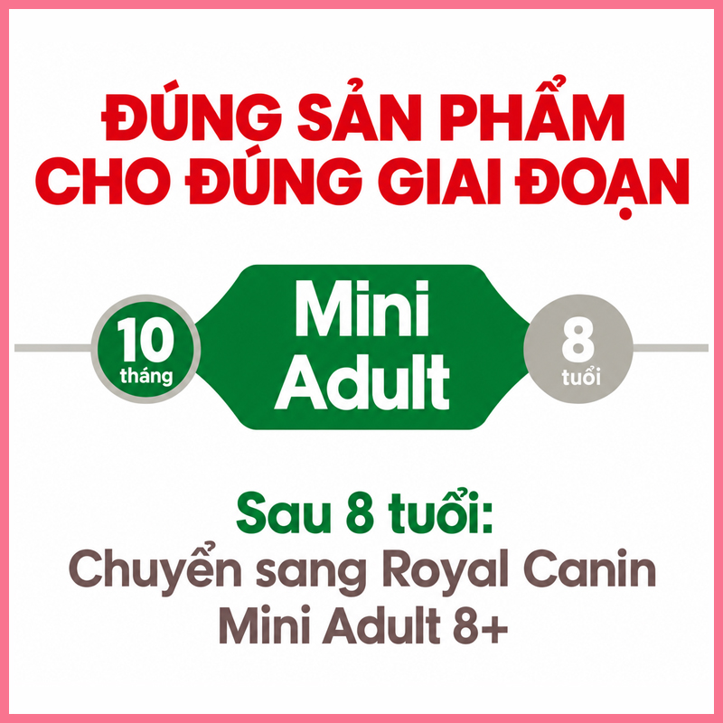 Hạt chó Royal Canin Mini Adult Nupet 3