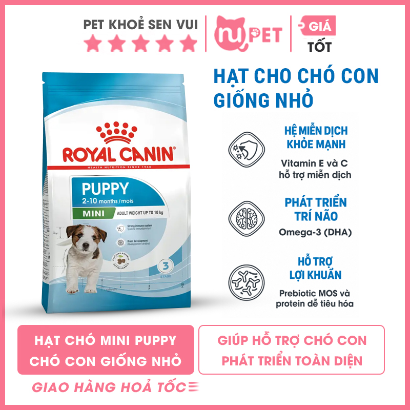 Hạt chó Royal Canin Mini Puppy Nupet 10